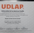Ampliar imagen: certificate 3