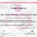 Ampliar imagen: certificate 3
