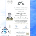 Ampliar imagen: certificate 1