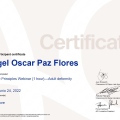 Ampliar imagen: certificate 8