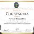Ampliar imagen: certificate 11