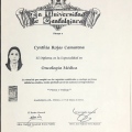 Ampliar imagen: certificate 2