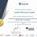 Ampliar imagen: certificate 9