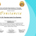 Ampliar imagen: certificate 45