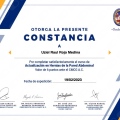 Ampliar imagen: certificate 9