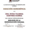 Ampliar imagen: certificate 3