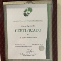Ampliar imagen: certificate 4