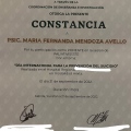 Ampliar imagen: certificate 16