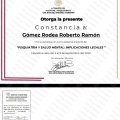 Ampliar imagen: certificate 23