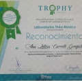 Ampliar imagen: certificate 5