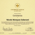 Ampliar imagen: certificate 13
