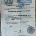 Ampliar imagen: certificate 1