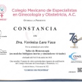 Ampliar imagen: certificate 21