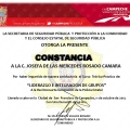 Ampliar imagen: certificate 5