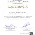 Ampliar imagen: certificate 31