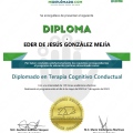 Ampliar imagen: certificate 2