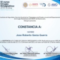 Ampliar imagen: certificate 2