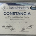 Ampliar imagen: certificate 7