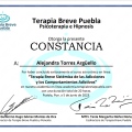 Ampliar imagen: certificate 8
