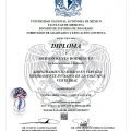 Ampliar imagen: certificate 8
