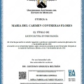 Ampliar imagen: certificate 2