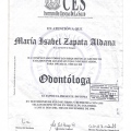 Ampliar imagen: certificate 20