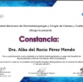 Ampliar imagen: certificate 3
