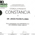 Ampliar imagen: certificate 13