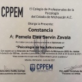 Ampliar imagen: certificate 13