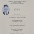 Ampliar imagen: certificate 5