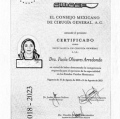 Ampliar imagen: certificate 3
