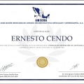 Ampliar imagen: certificate 1