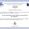 Ampliar imagen: certificate 32