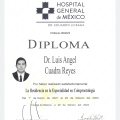 Ampliar imagen: certificate 6