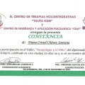 Ampliar imagen: certificate 3