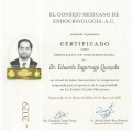 Ampliar imagen: certificate 1