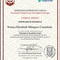 Ampliar imagen: certificate 7