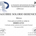 Ampliar imagen: certificate 3