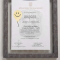 Ampliar imagen: certificate 2