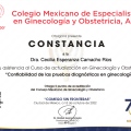 Ampliar imagen: certificate 13