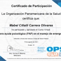Ampliar imagen: certificate 3