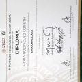 Ampliar imagen: certificate 3