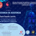Ampliar imagen: certificate 45