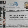 Ampliar imagen: certificate 3