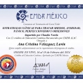 Ampliar imagen: certificate 4