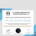 Ampliar imagen: certificate 9