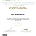 Ampliar imagen: certificate 1