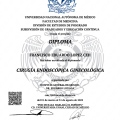 Ampliar imagen: certificate 2