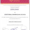 Ampliar imagen: certificate 7