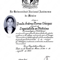 Ampliar imagen: certificate 3
